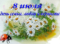 День семьи, любви и верности
